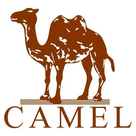 广东骆驼服饰公司的logo
