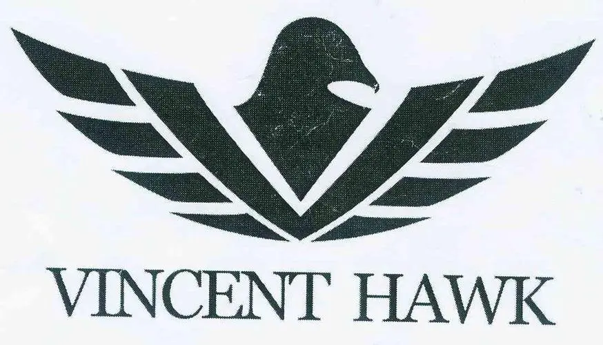 VincentHawk留学咨询公司的logo