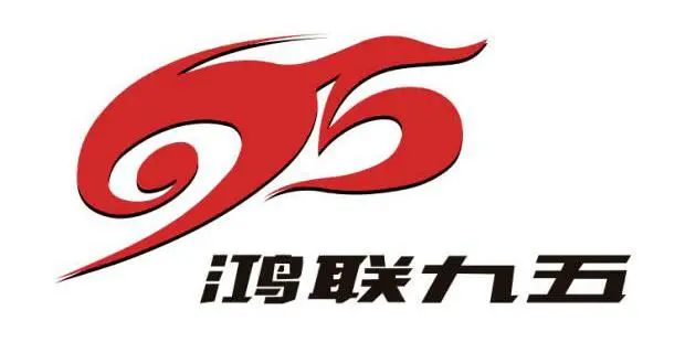 鸿联九五信息公司的logo