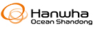 韩华海洋（原大宇造船）的logo
