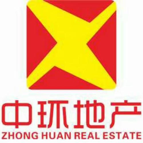 湖南中环地产顾问公司的logo