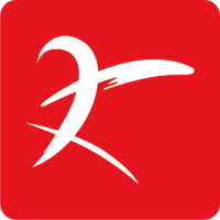 南京大汉软件公司的logo