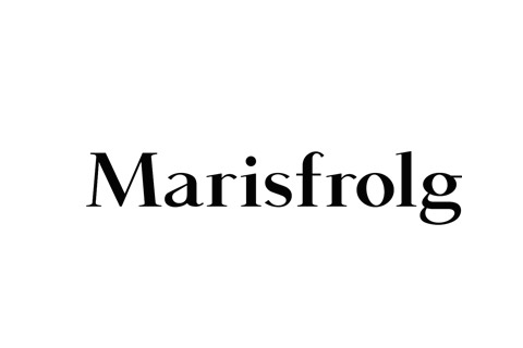 玛丝菲尔时尚集团的logo
