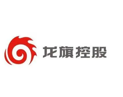 惠州龙旗电子公司的logo