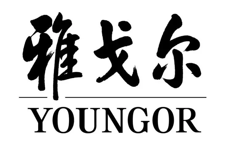 宁波雅戈尔服饰公司的logo