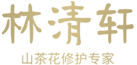 上海林清轩化妆品公司的logo