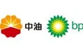 中油碧辟石油有限公司的logo